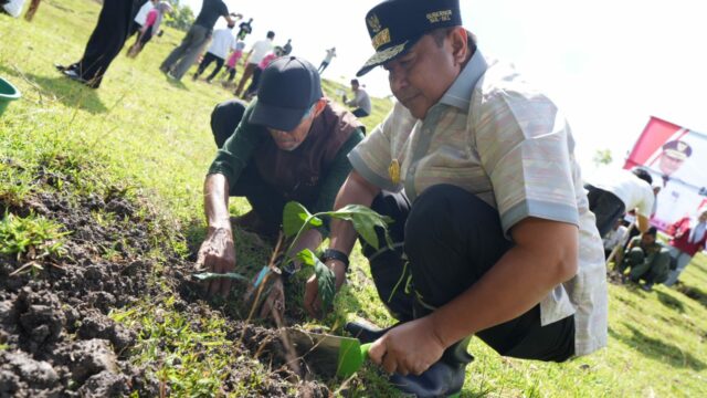 PJ Gubernur Sulsel Bagikan 50 Ribu Bibit Pohon Kepada Masyarakat Bone