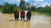 Dinas P2KUKM Luwu Utara Salurkan Bantuan untuk Korban Banjir Sungai Rongkong.