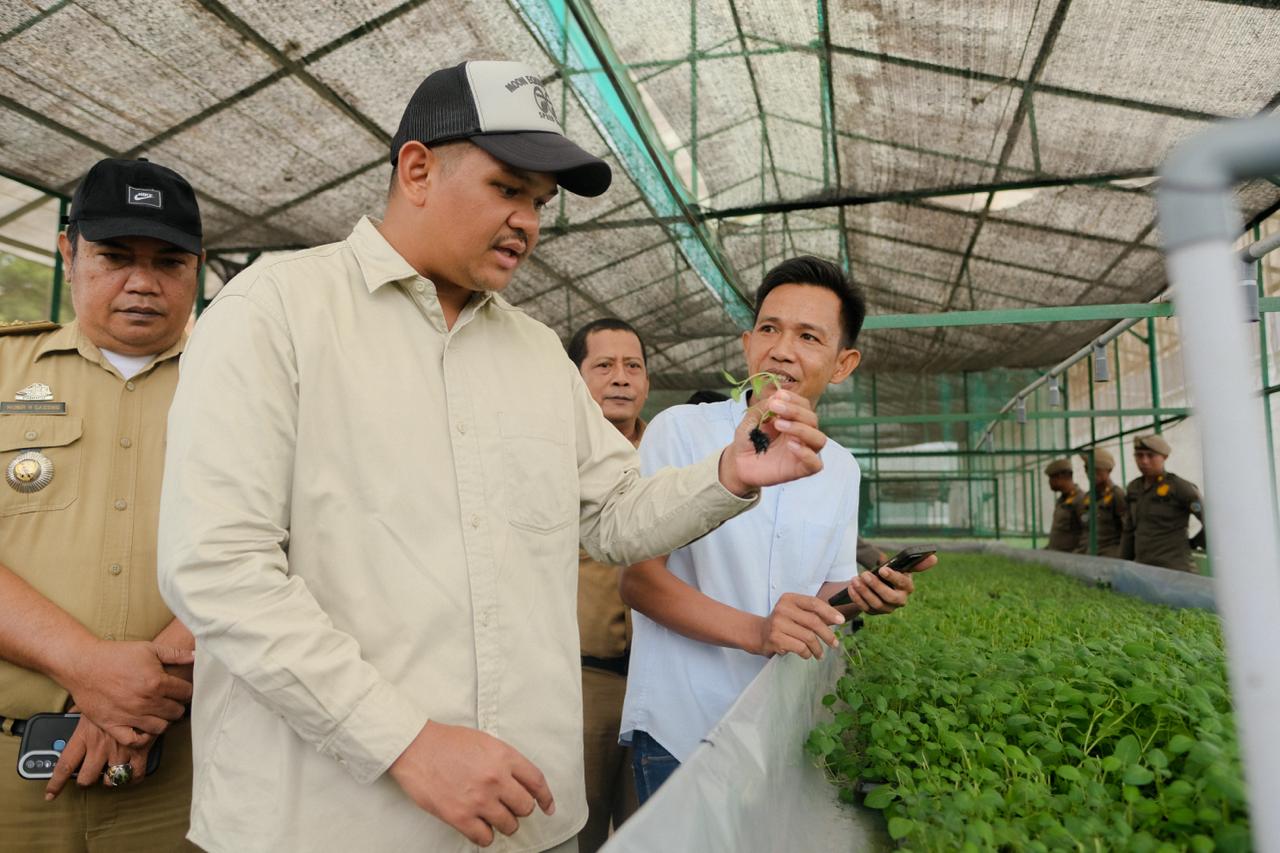 Tinjau Kultur Jaringan Kentang, Uji Nurdin Targetkan Bantaeng Mandiri Benih Hortikultura